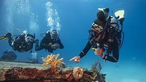 Divemaster Course